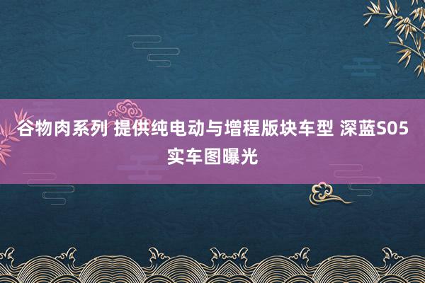 谷物肉系列 提供纯电动与增程版块车型 深蓝S05实车图曝光