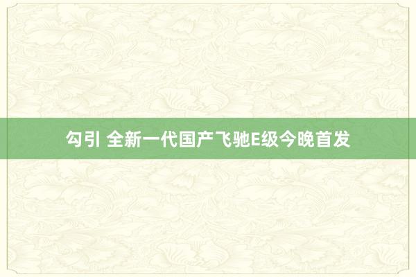 勾引 全新一代国产飞驰E级今晚首发