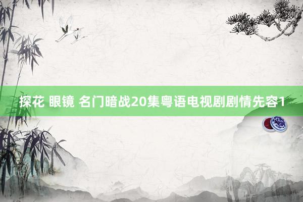 探花 眼镜 名门暗战20集粤语电视剧剧情先容1