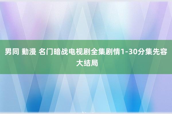男同 動漫 名门暗战电视剧全集剧情1-30分集先容 大结局