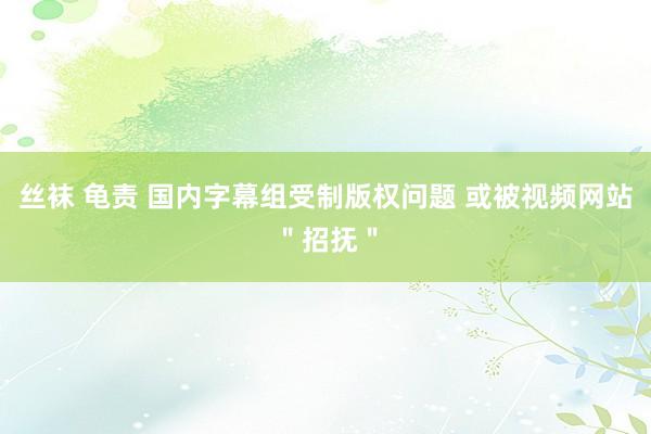 丝袜 龟责 国内字幕组受制版权问题 或被视频网站＂招抚＂