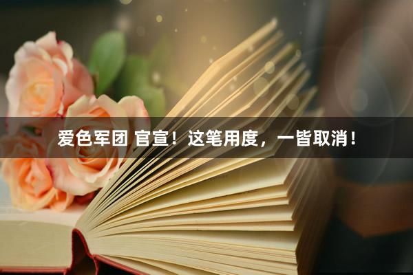 爱色军团 官宣！这笔用度，一皆取消！