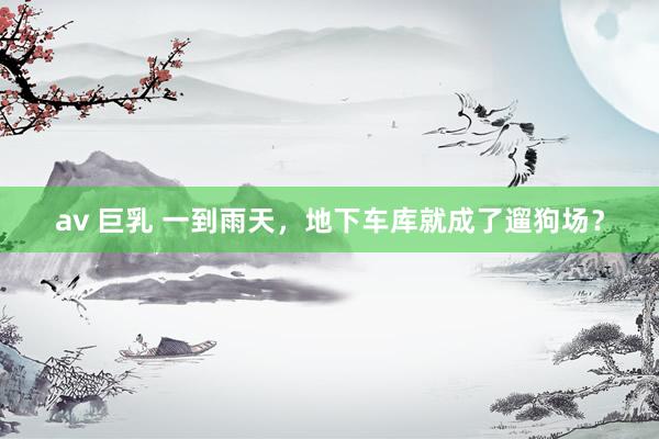 av 巨乳 一到雨天，地下车库就成了遛狗场？