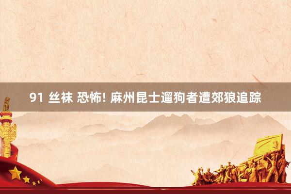 91 丝袜 恐怖! 麻州昆士遛狗者遭郊狼追踪