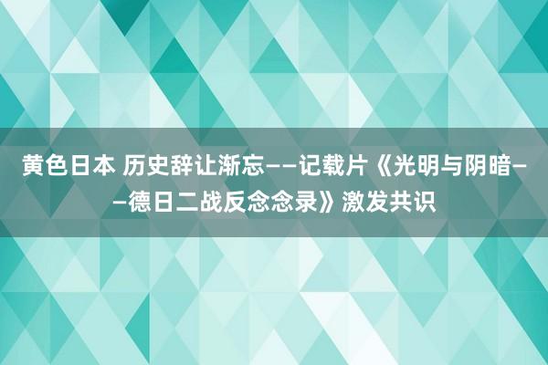 黄色日本 历史辞让渐忘——记载片《光明与阴暗——德日二战反念念录》激发共识