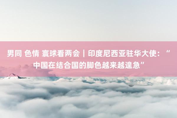 男同 色情 寰球看两会｜印度尼西亚驻华大使：“中国在结合国的脚色越来越遑急”