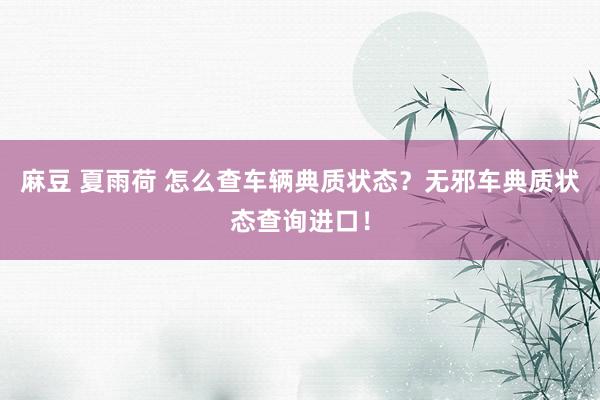麻豆 夏雨荷 怎么查车辆典质状态？无邪车典质状态查询进口！