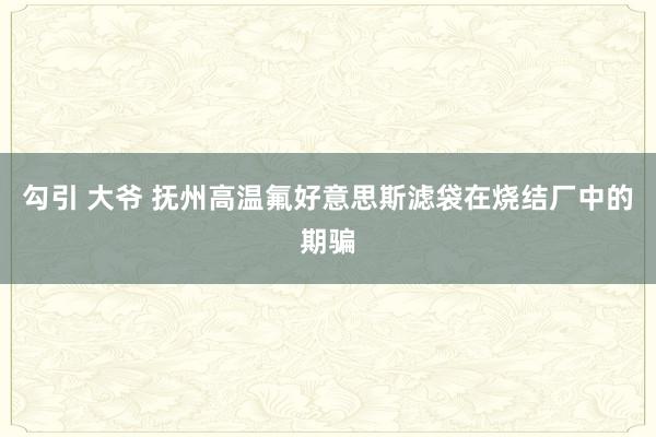 勾引 大爷 抚州高温氟好意思斯滤袋在烧结厂中的期骗