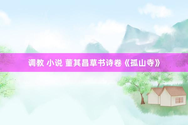 调教 小说 董其昌草书诗卷《孤山寺》